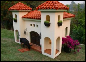 the best dog house